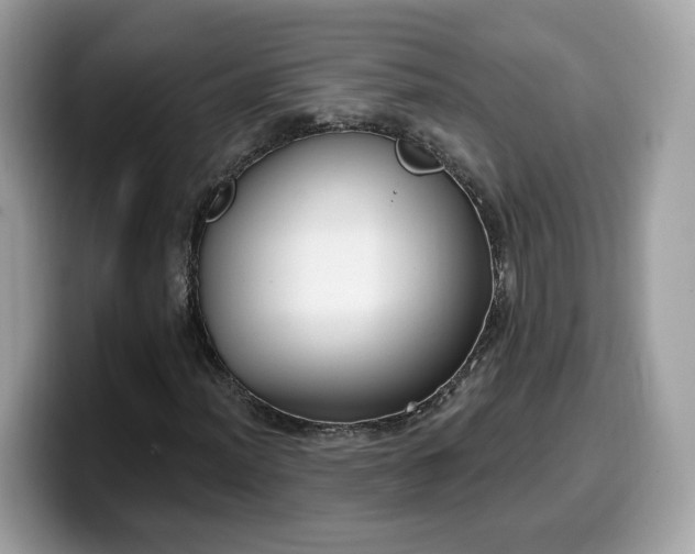 X0000099581012200805301555