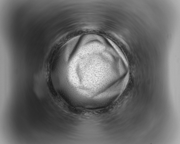 X0000099581015200805301555