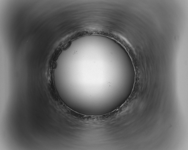 X0000099581016200805301555