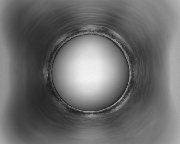 X0000099581017200805301555