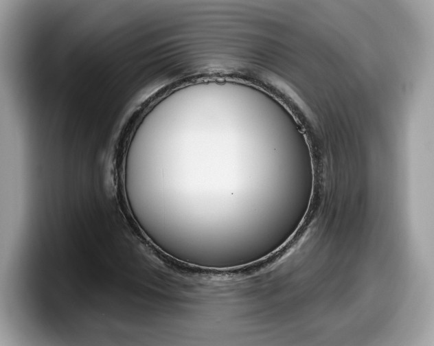 X0000099581018200805301555