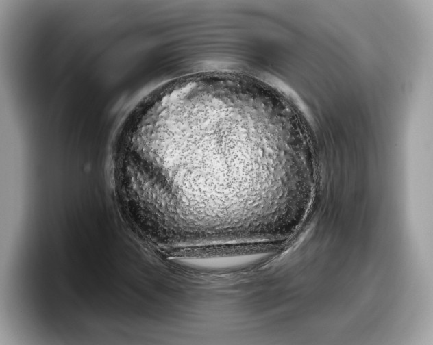 X0000099581019200805301555