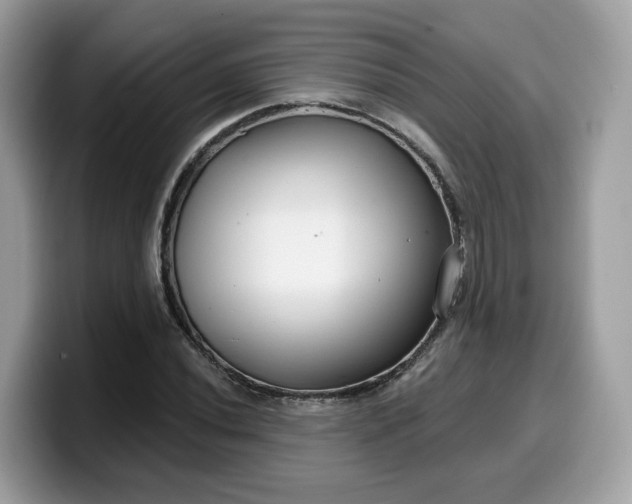 X0000099581020200805301555