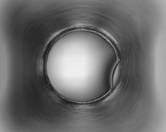 X0000099581021200805301555