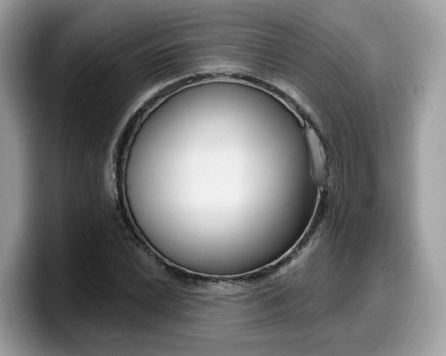 X0000099581022200805301555