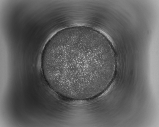 X0000099581023200805301555