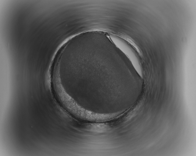 X0000099581024200805301555