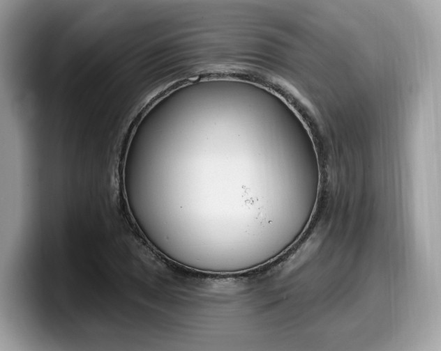 X0000099581025200805301555