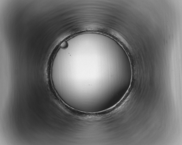 X0000099581026200805301555