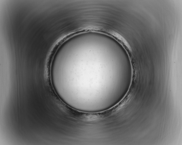 X0000099581027200805301555