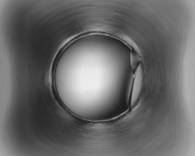 X0000099581028200805301555