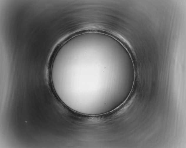 X0000099581029200805301555