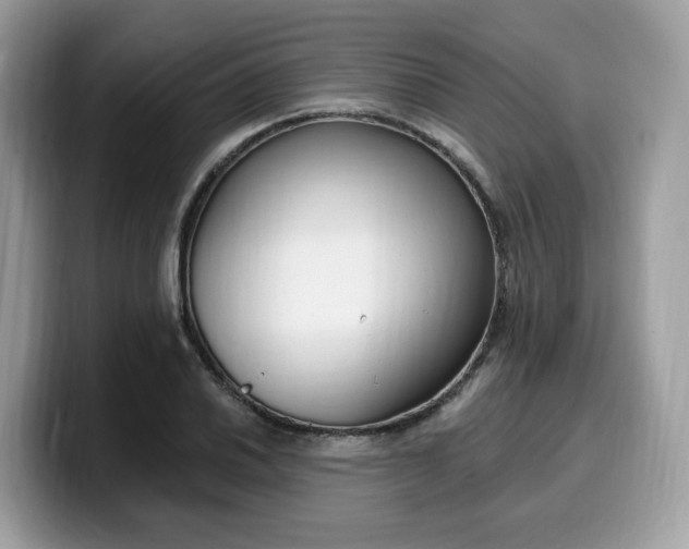 X0000099581030200805301555