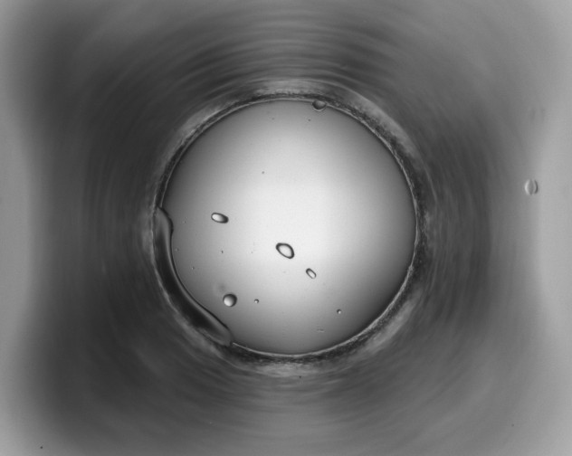 X0000099581033200805301555