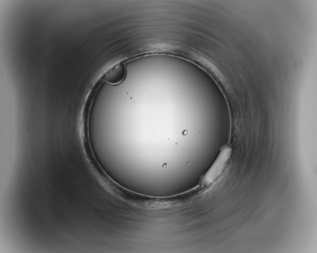 X0000099581034200805301555