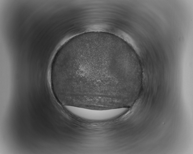 X0000099581035200805301555