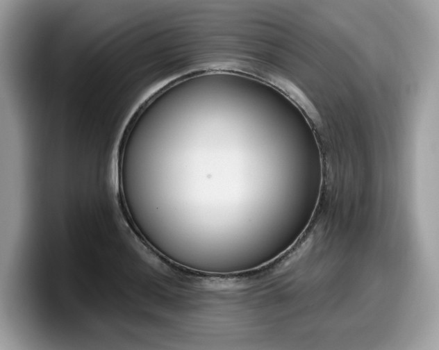 X0000099581036200805301555