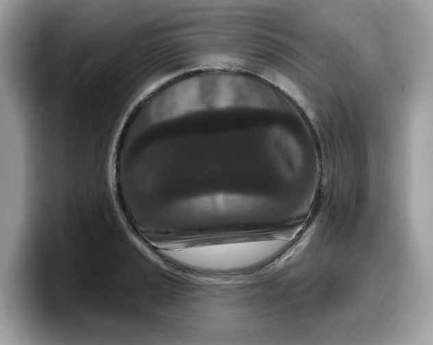 X0000099581037200805301555