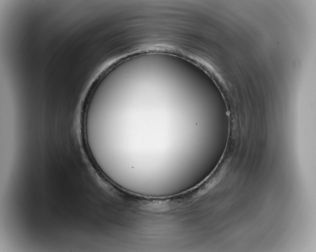 X0000099581038200805301555