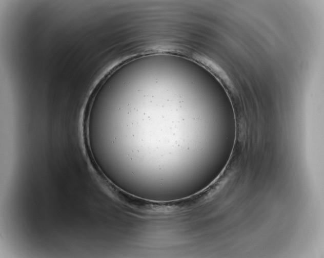 X0000099581039200805301555