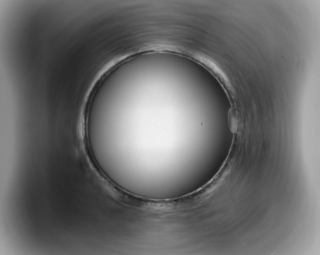 X0000099581040200805301555