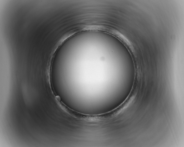 X0000099581041200805301555