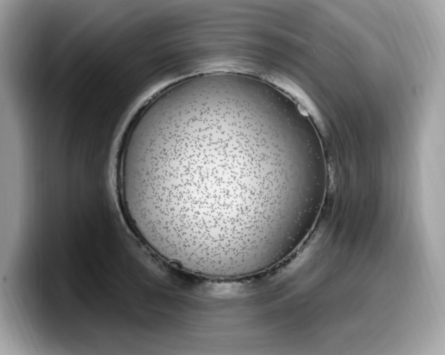 X0000099581043200805301555