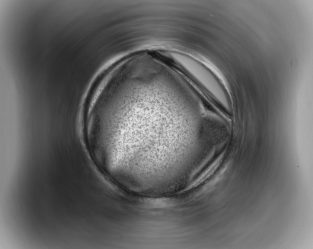 X0000099581045200805301556