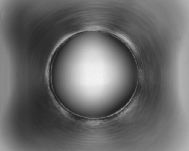 X0000099581046200805301556