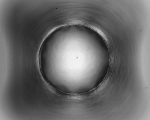 X0000099581047200805301556