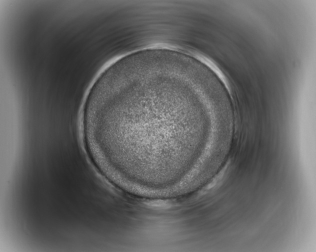 X0000099581048200805301556