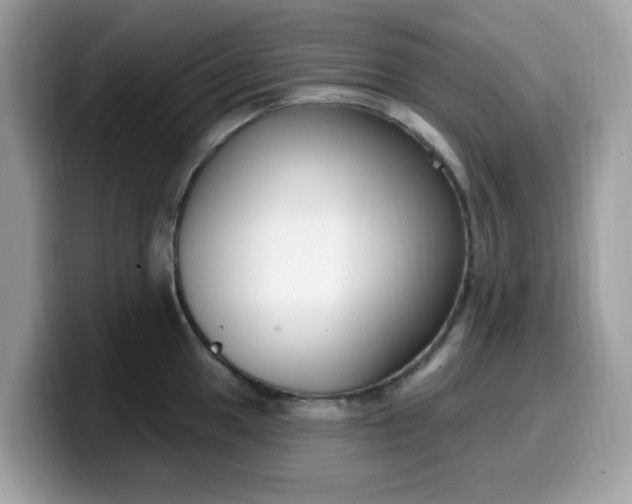 X0000099581049200805301556