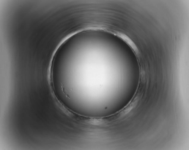 X0000099581052200805301556