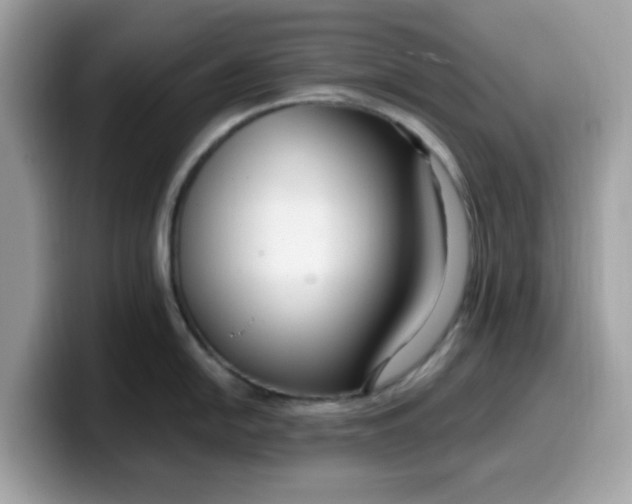 X0000099581054200805301556