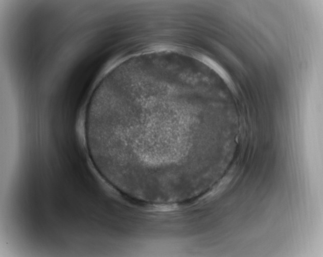 X0000099581055200805301556