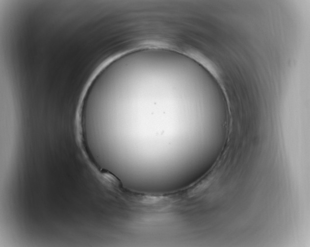 X0000099581056200805301556