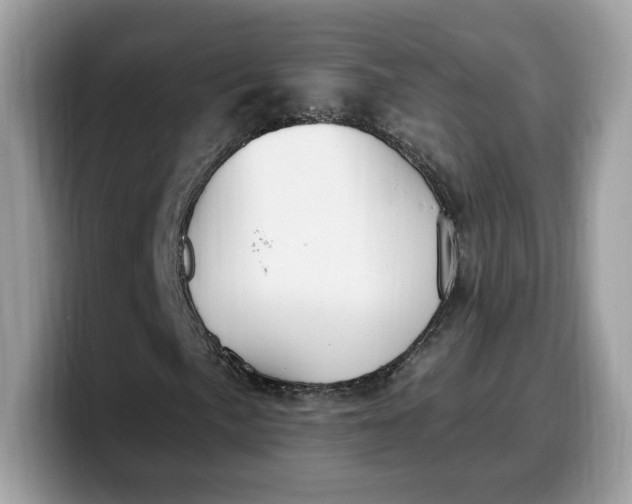 X0000099581057200805301555