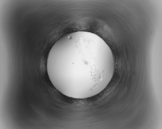 X0000099581058200805301555