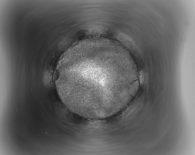 X0000099581059200805301555