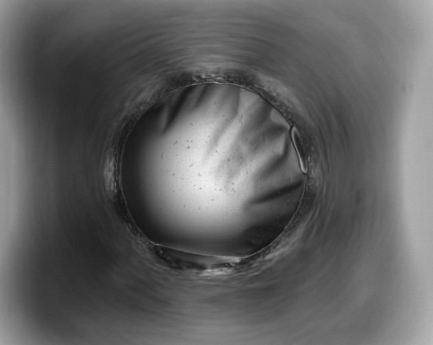 X0000099581060200805301555