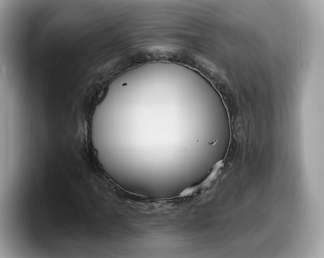 X0000099581061200805301555