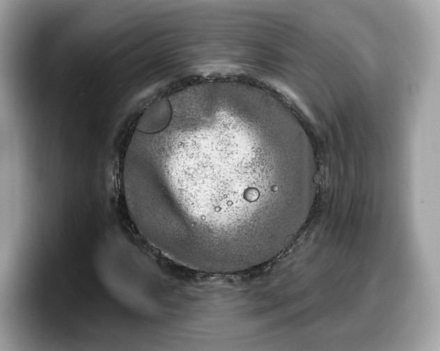 X0000099581063200805301555