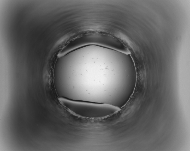 X0000099581064200805301555