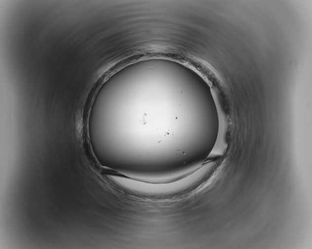 X0000099581065200805301555