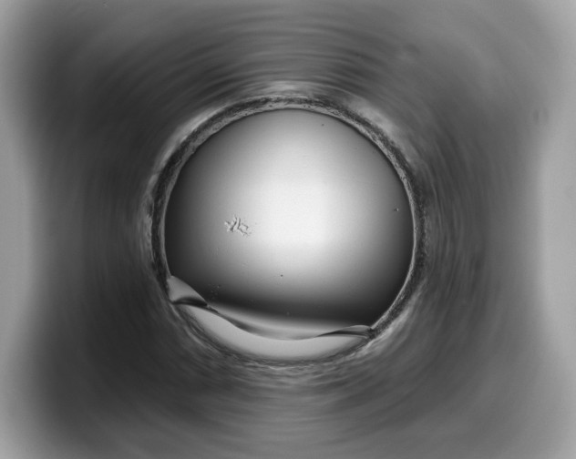 X0000099581066200805301555