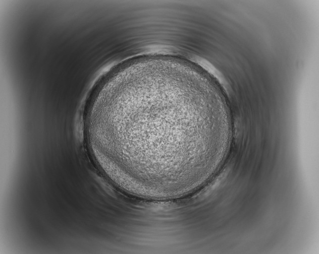 X0000099581067200805301555