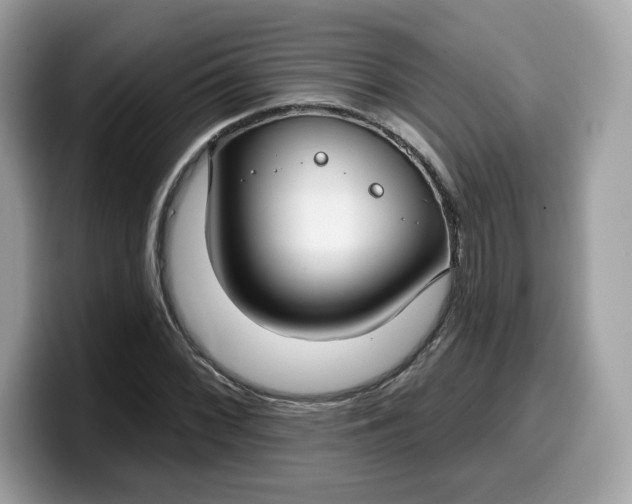 X0000099581068200805301555