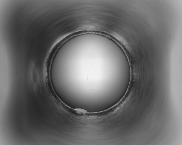 X0000099581070200805301555