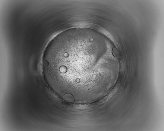 X0000099581071200805301555