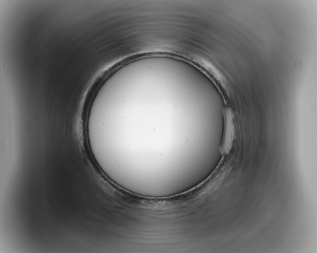 X0000099581072200805301555